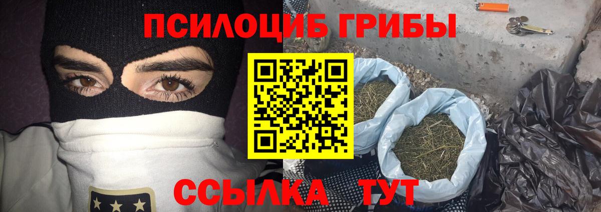 Галлюциногенные грибы Magic Shrooms Котлас